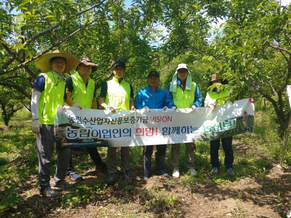 31일 농협 신용보증업무부는 충죽 제천 무지곡마을 농촌봉사 활동에 나섰다.
