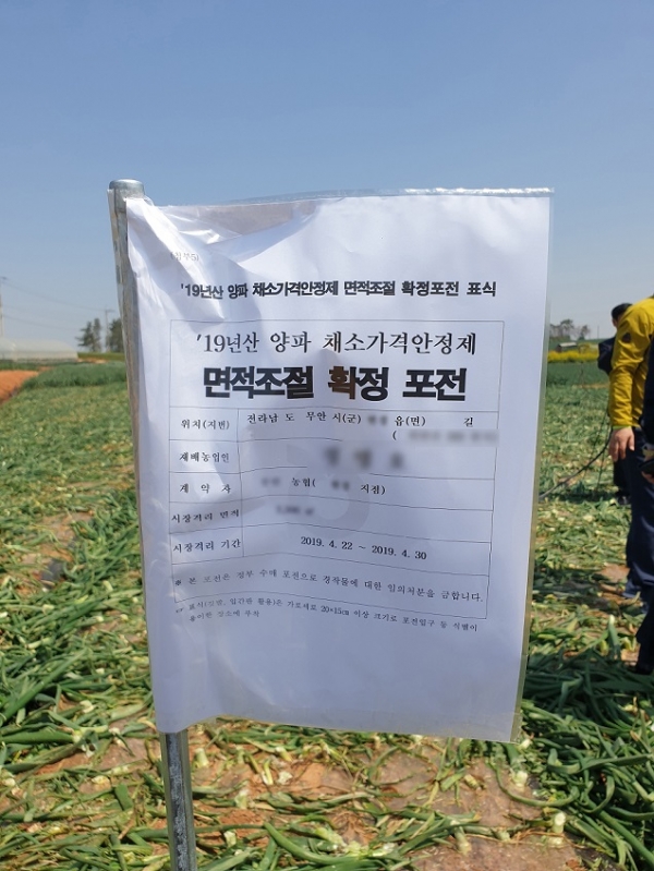 지난 4월 양파 채소가격안정제 면적조절 확정 포전이라는 문구가 쓰여진 전남 무안의 한 양파 밭