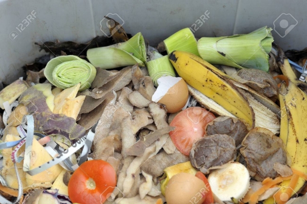 음식물쓰레기
