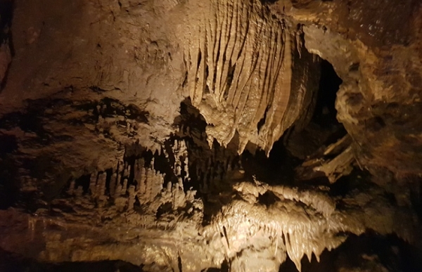 천곡황금박쥐동굴의 신비로운 풍경이 관광객들의 발길을 붙잡는다.