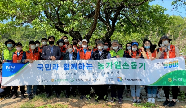농협은 6일 코레일관광개발 임직원, 1365자원봉사 포털을 통해 지원한 자원봉사자들과 함께 서울 중랑구 신내동 배농가에서 봉사활동을 실시했다.[사진 농협 제공]