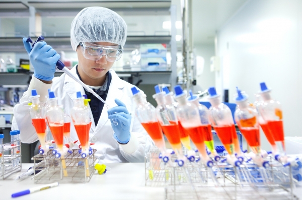 SK바이오사이언스 연구원이 백신 생산을 위한 연구를 진행하고 있다