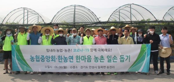 농협중앙회와 한국농업경영인중앙연합회는 8일 경기도 안성시에서 '한마음 농촌일손돕기'를 실시했다.[사진 농협 제공]