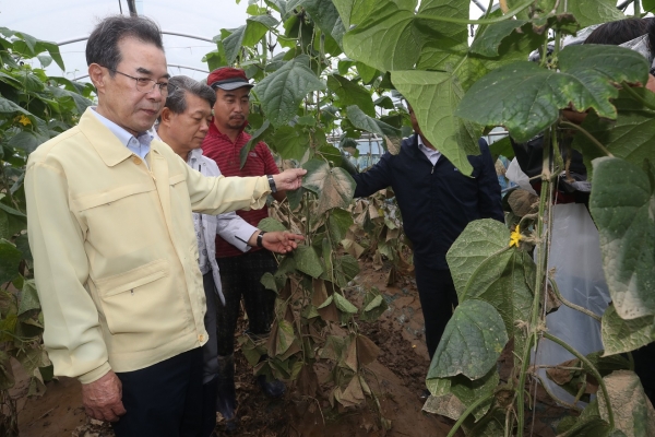 이성희 회장(왼쪽 첫번째)이 천안 집중호우 피해 농가를 찾아 농작물 피해를 보며 안타까워 하고 있다.