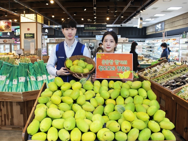 농협하나로유통이 22일부터 청도지역에서 올해 첫 출하된 국내산 모과를 판매한다. 22일 서울시 마포구 하나로마트 신촌점에서 모과를 선보이고 있다.[사진 농협 제공]